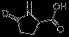 DL-Pyroglutamic acid